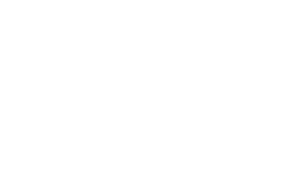slye