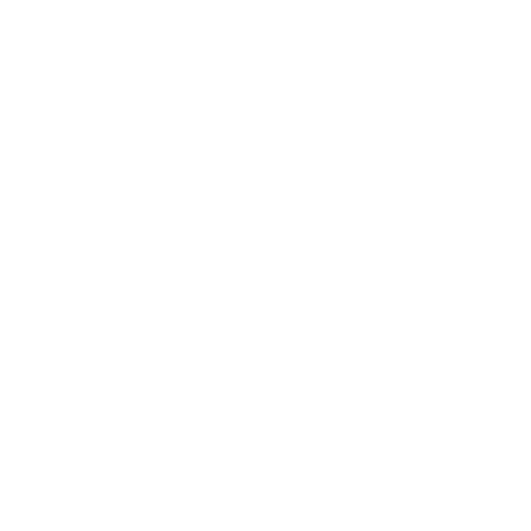 Schmidt-Futures